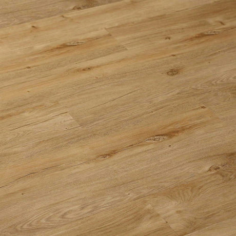 CFS Eternity LVT - Light Birchwood - Exen Flooring