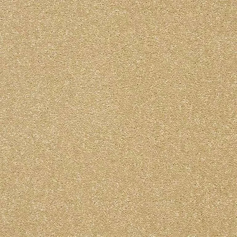 Abingdon Stainfree Twist Carpet Exen Flooring