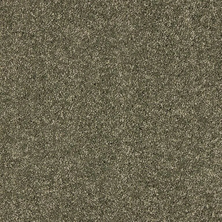 Abingdon Seduction Carpet Exen Flooring