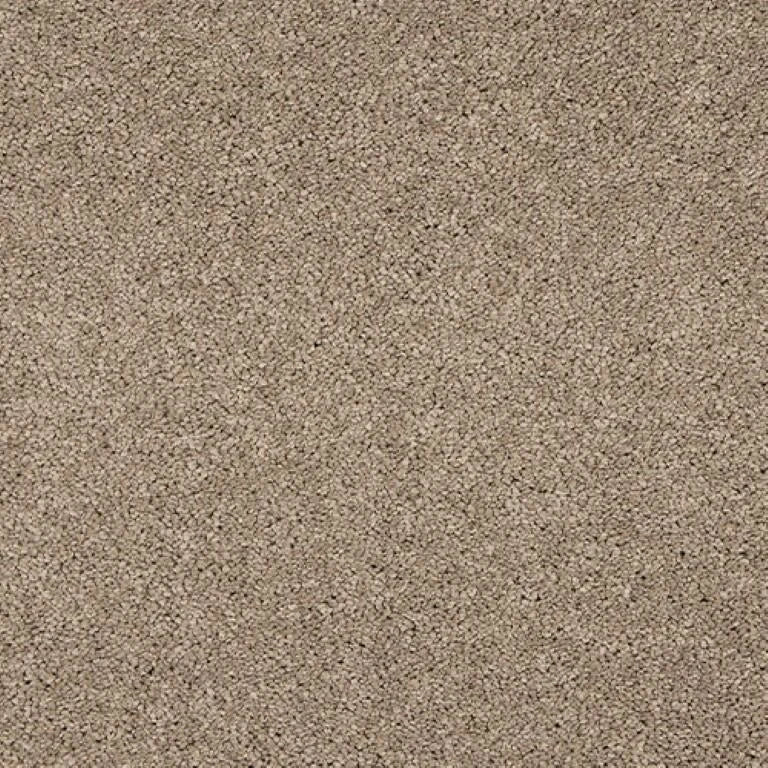 Abingdon Seduction Carpet Exen Flooring
