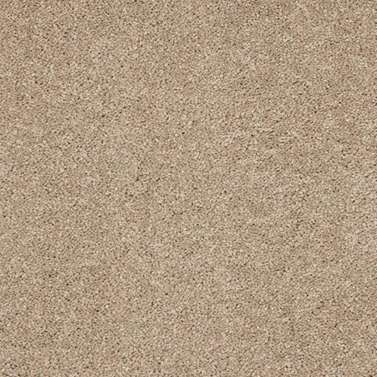 Abingdon Seduction Carpet Exen Flooring