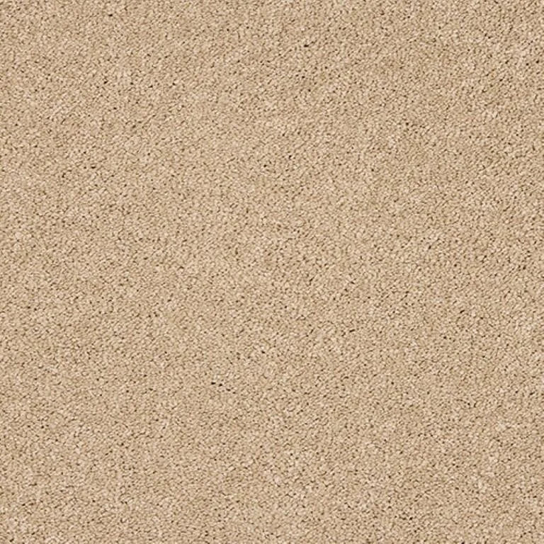 Abingdon Seduction Carpet Exen Flooring