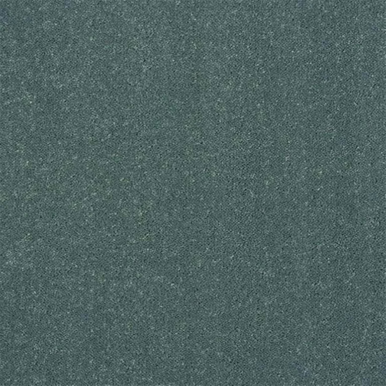 Abingdon Stainfree Captivation Carpet Exen Flooring