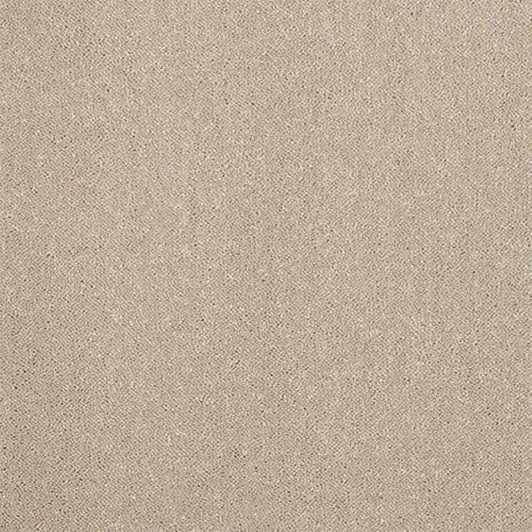 Abingdon Stainfree Captivation Carpet Exen Flooring