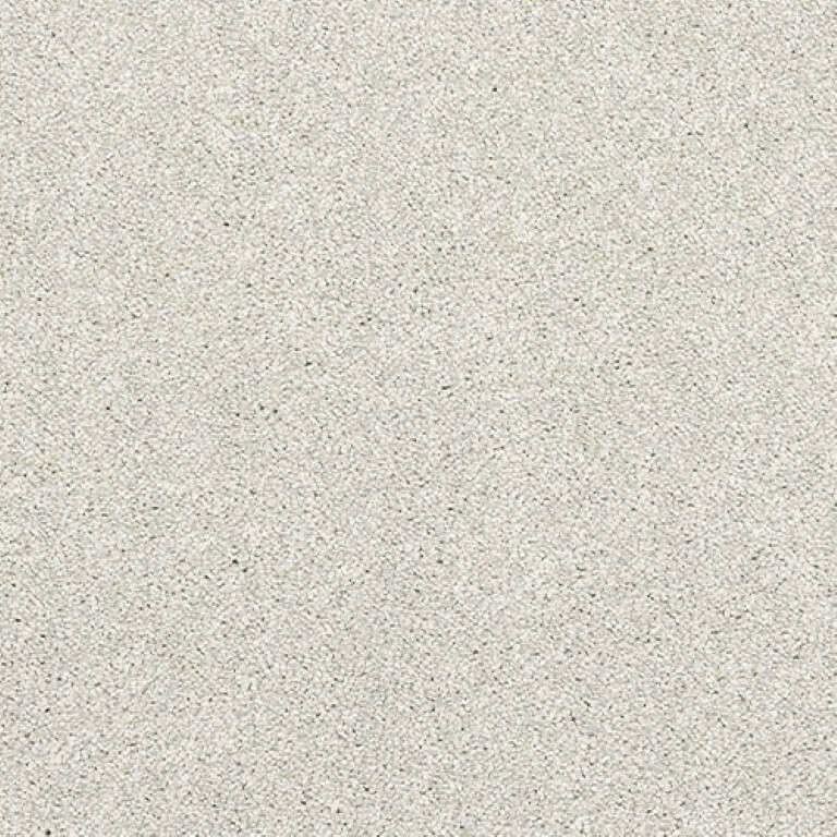 Abingdon Stainfree Caress Carpet Exen Flooring