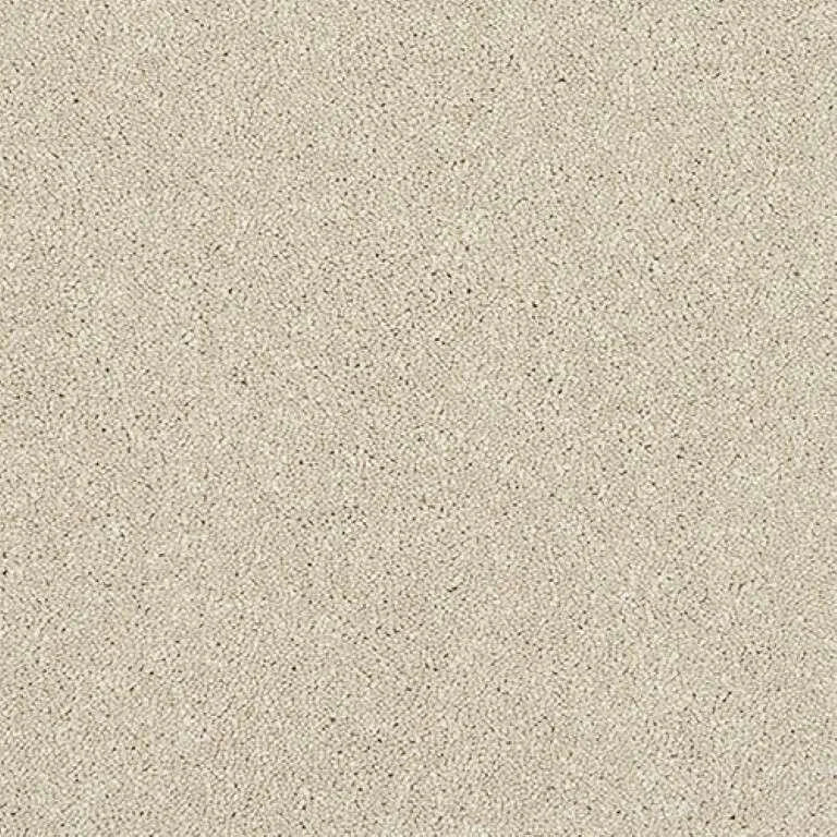 Abingdon Stainfree Caress Carpet Exen Flooring