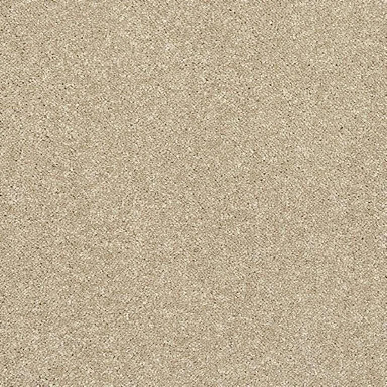 Abingdon Stainfree Caress Carpet Exen Flooring