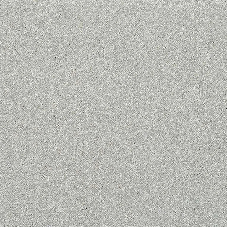 Abingdon Stainfree Caress Carpet Exen Flooring