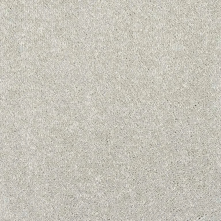 Abingdon Stainfree Caress Carpet Exen Flooring
