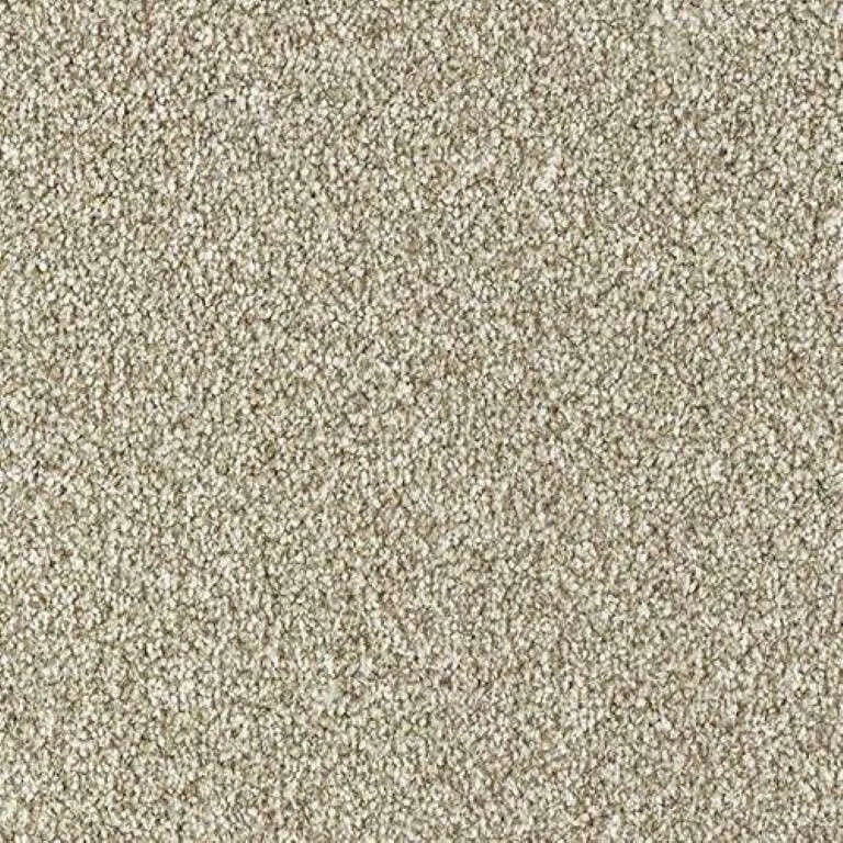 Abingdon Stainfree Country Life Carpet Exen Flooring