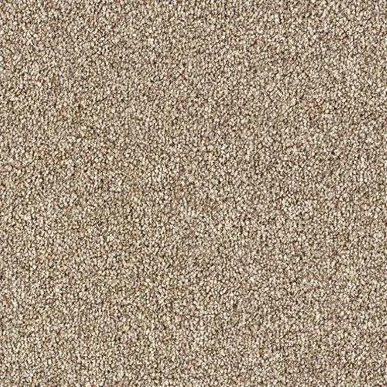 Abingdon Stainfree Country Life Carpet Exen Flooring