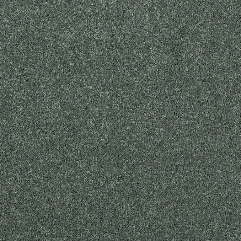 Abingdon Stainfree Maximus Carpet Exen Flooring