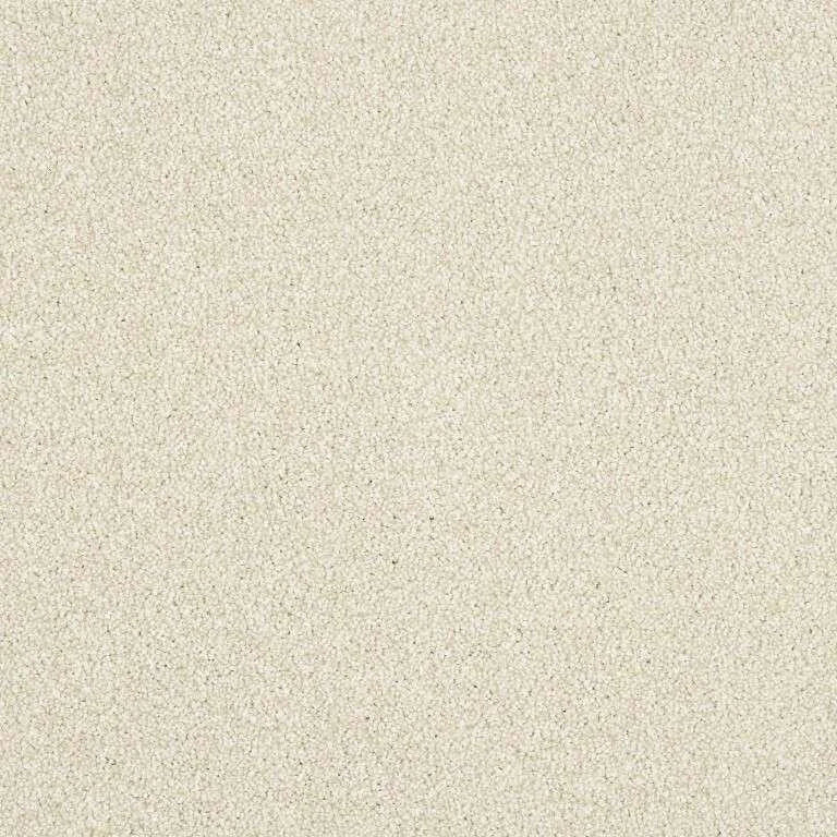 Abingdon Stainfree Maximus Carpet Exen Flooring