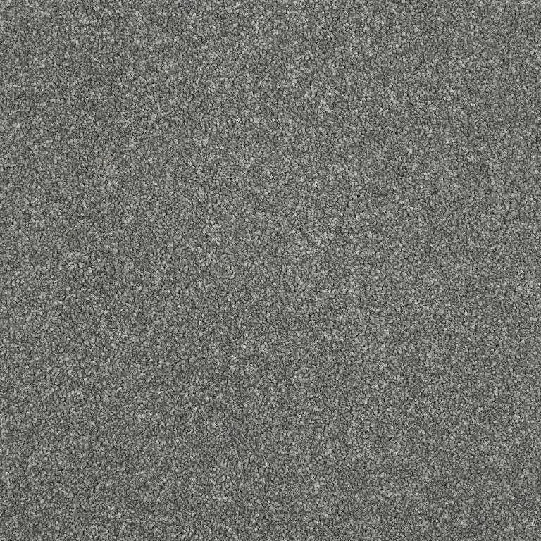 Abingdon Stainfree Maximus Carpet Exen Flooring