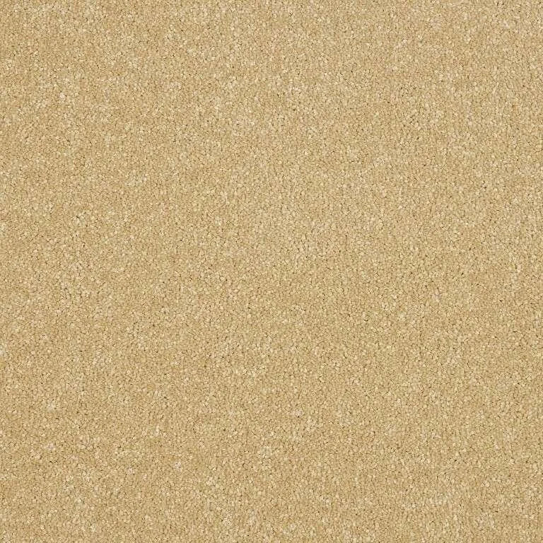 Abingdon Stainfree Maximus Carpet Exen Flooring