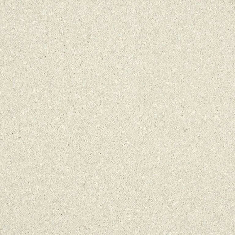 Abingdon Stainfree Maximus Carpet Exen Flooring