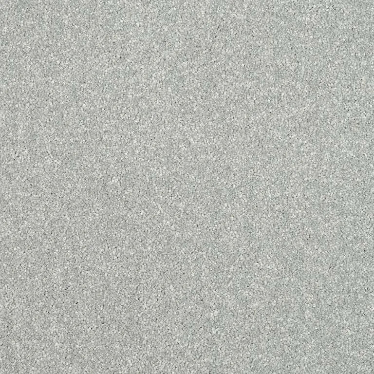 Abingdon Stainfree Maximus Carpet Exen Flooring