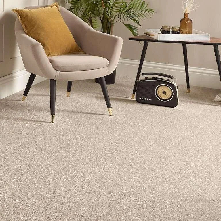 Abingdon Stainfree Maximus Carpet Exen Flooring