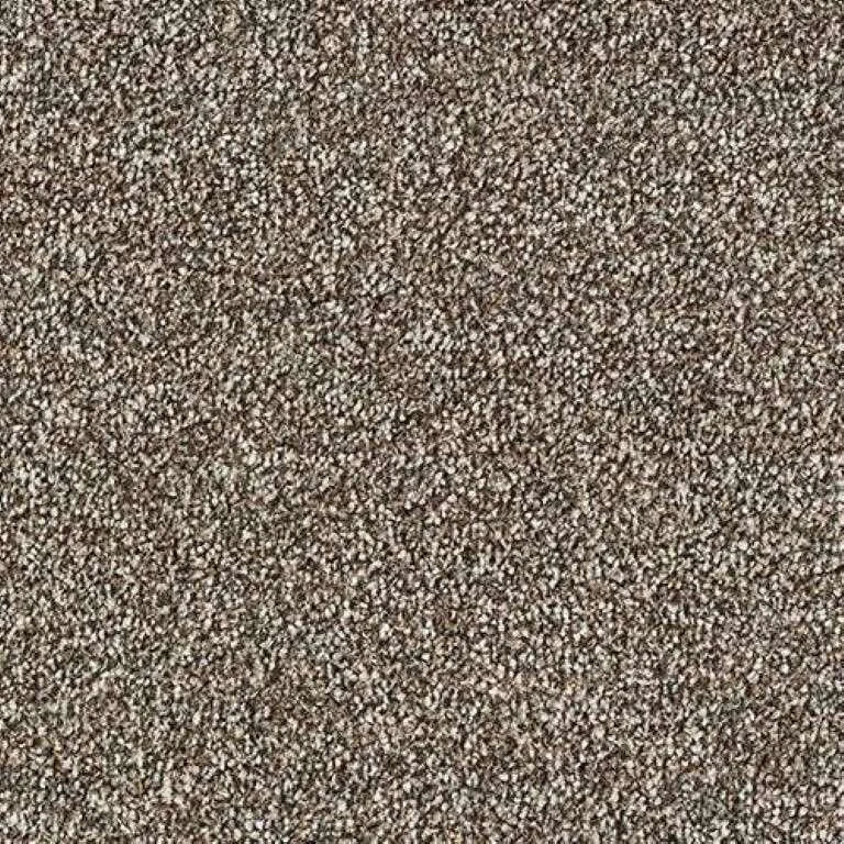 Abingdon Stainfree Rustique Saxony Carpet Exen Flooring