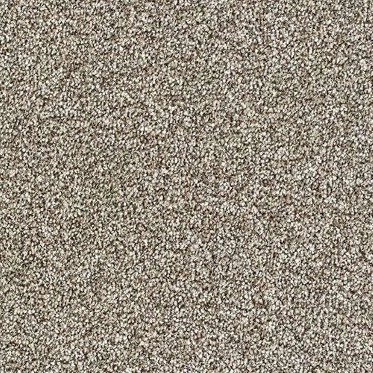 Abingdon Stainfree Rustique Saxony Carpet Exen Flooring