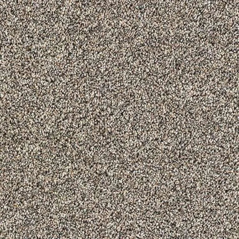 Abingdon Stainfree Rustique Saxony Carpet Exen Flooring