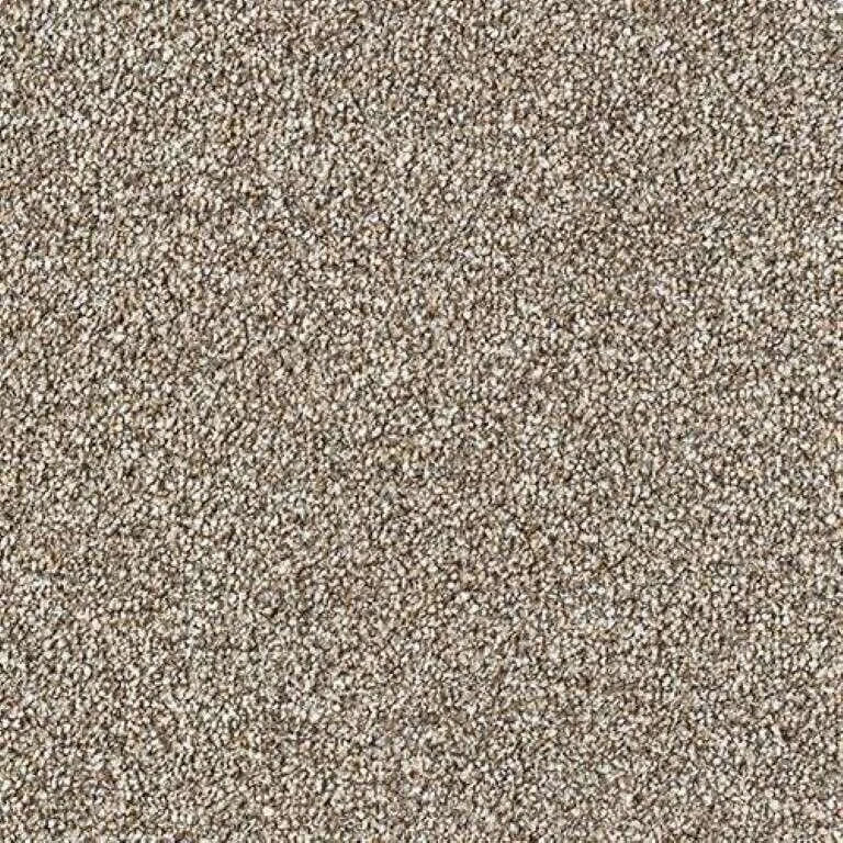 Abingdon Stainfree Rustique Saxony Carpet Exen Flooring