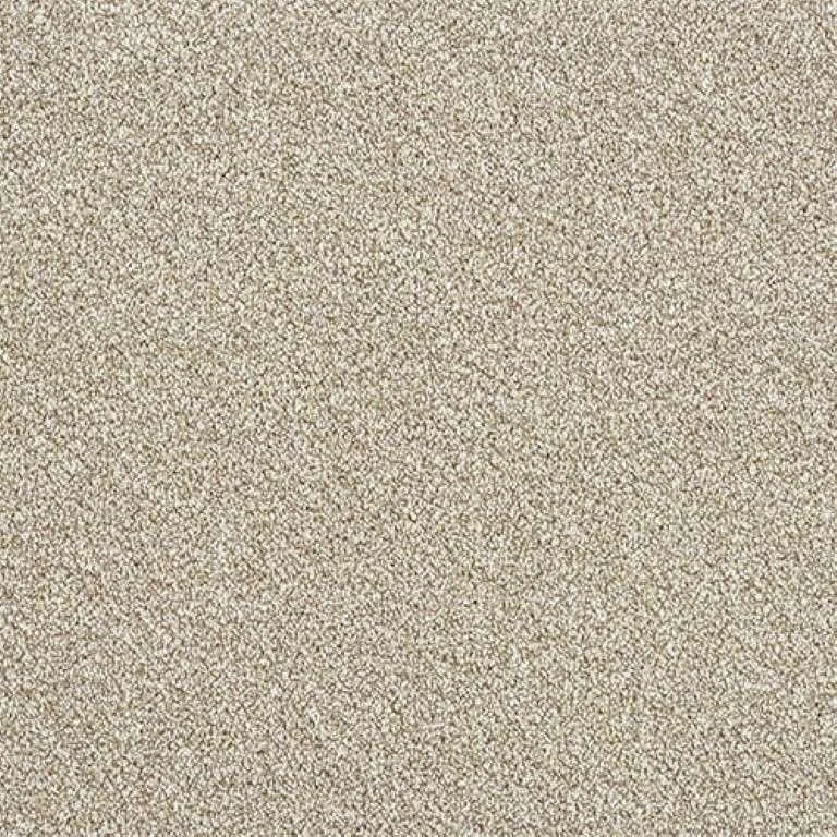 Abingdon Stainfree Rustique Twist Carpet Exen Flooring
