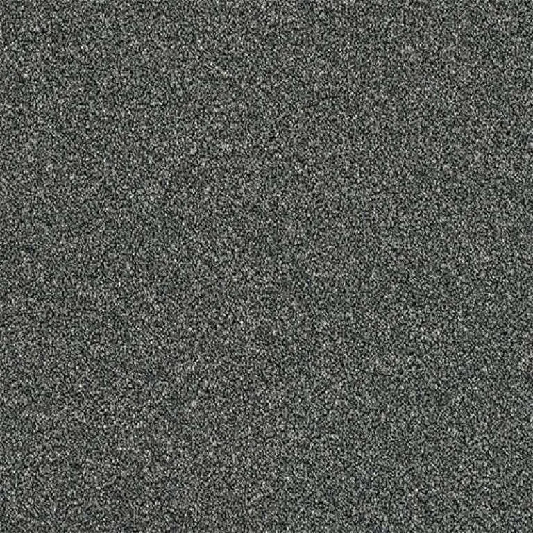 Abingdon Stainfree Rustique Twist Carpet Exen Flooring