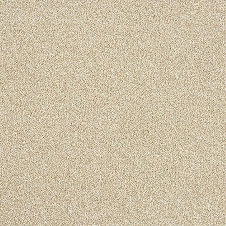 Abingdon Stainfree Rustique Ultra Carpet Exen Flooring