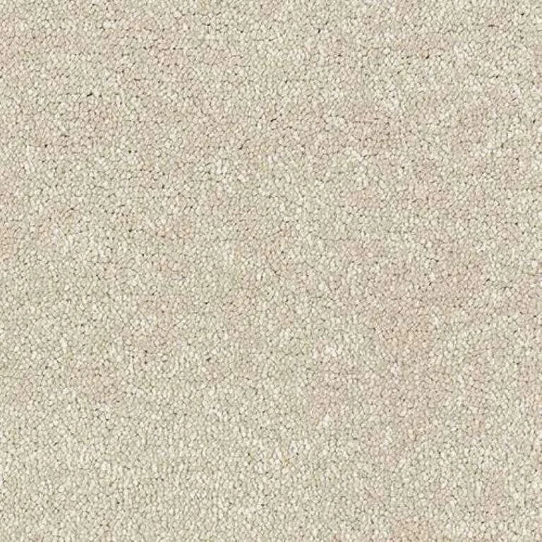 Abingdon Stainfree Satin Touch Carpet Exen Flooring