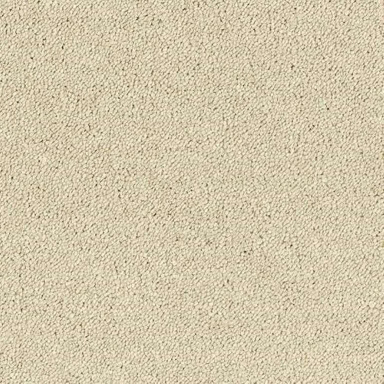 Abingdon Stainfree Sophisticat Carpet Exen Flooring