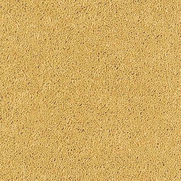 Abingdon Stainfree Sophisticat Carpet Exen Flooring
