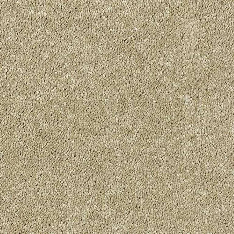 Abingdon Stainfree Sophisticat Carpet Exen Flooring