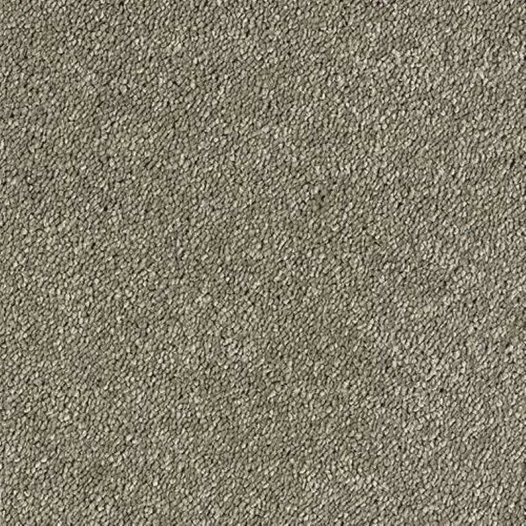 Abingdon Stainfree Sophisticat Carpet Exen Flooring