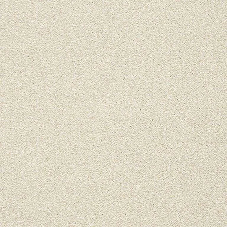 Abingdon Stainfree Twist Carpet Exen Flooring