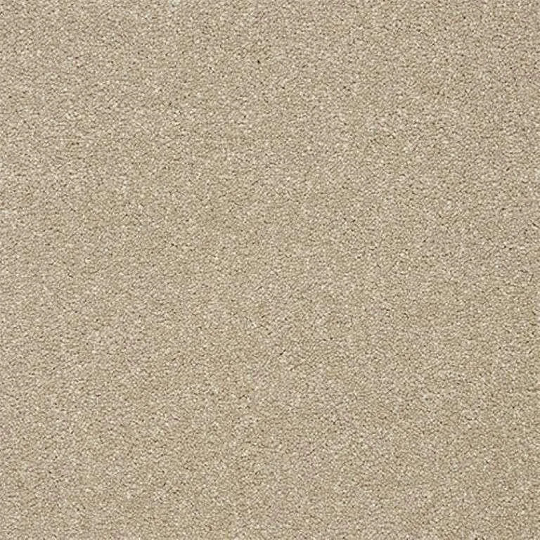 Abingdon Stainfree Twist Carpet Exen Flooring