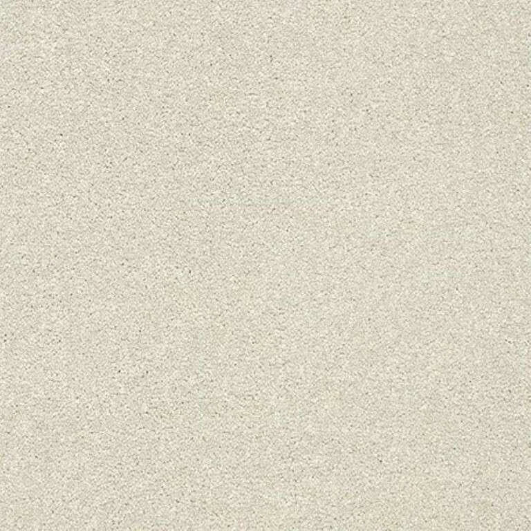 Abingdon Stainfree Twist Carpet Exen Flooring