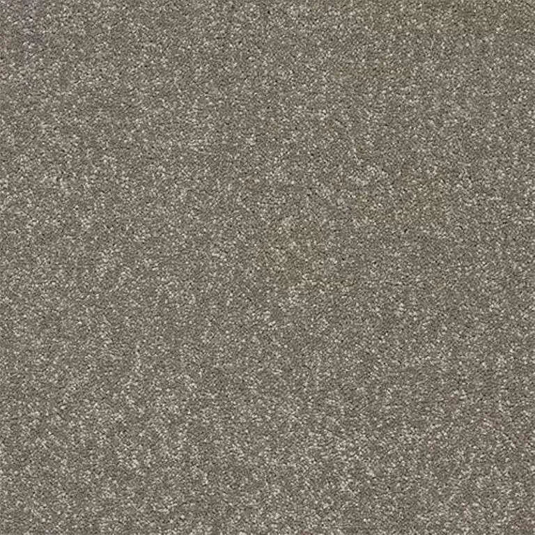 Abingdon Stainfree Twist Carpet Exen Flooring
