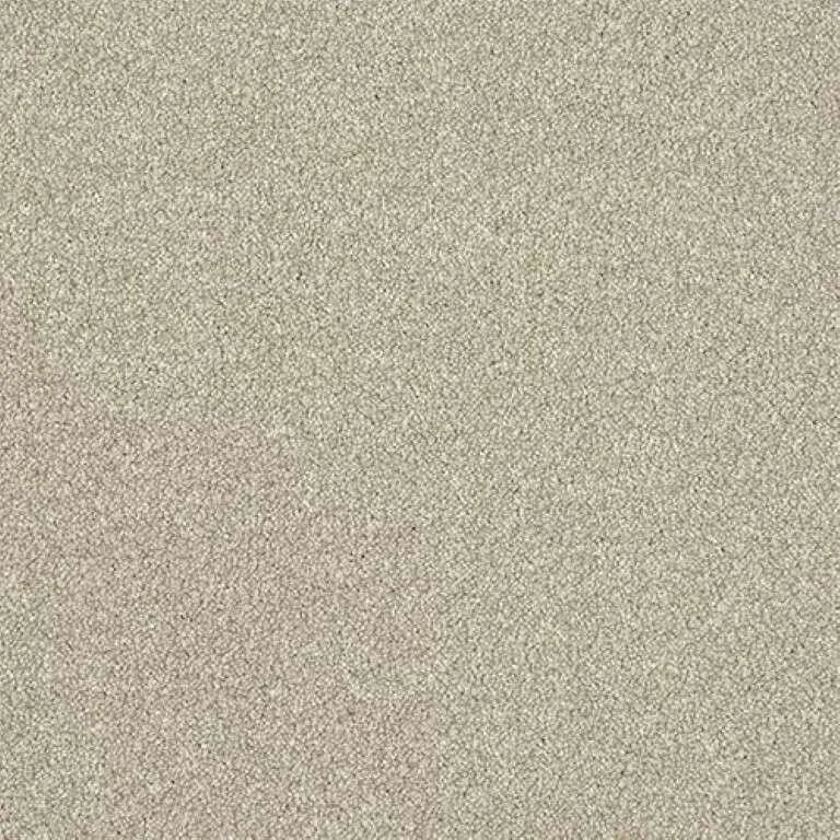 Abingdon Stainfree Ultra Carpet Exen Flooring