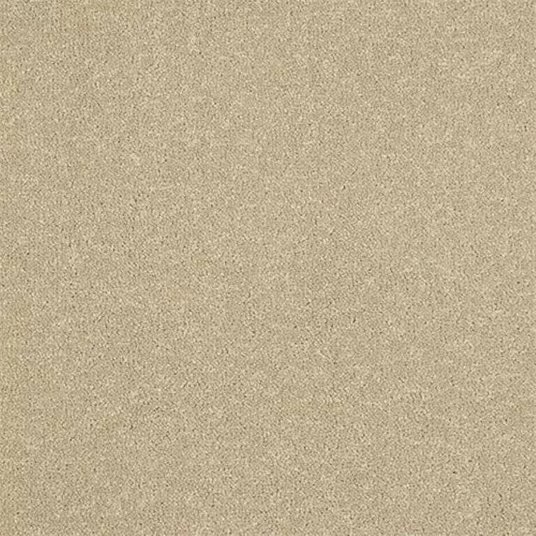 Abingdon Stainfree Ultra Carpet Exen Flooring