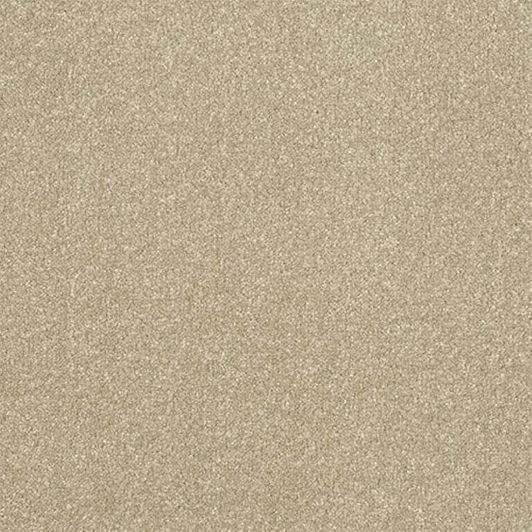 Abingdon Stainfree Ultra Carpet Exen Flooring