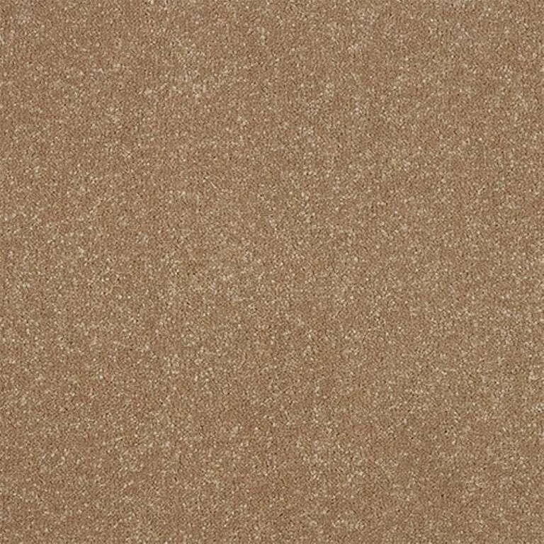 Abingdon Stainfree Ultra Carpet Exen Flooring