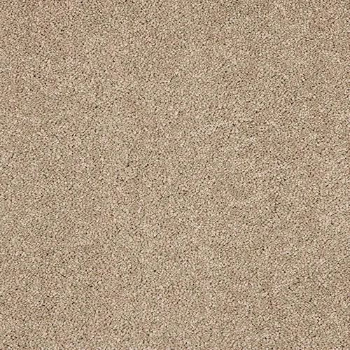 Abingdon Velvet Dream Carpet Exen Flooring