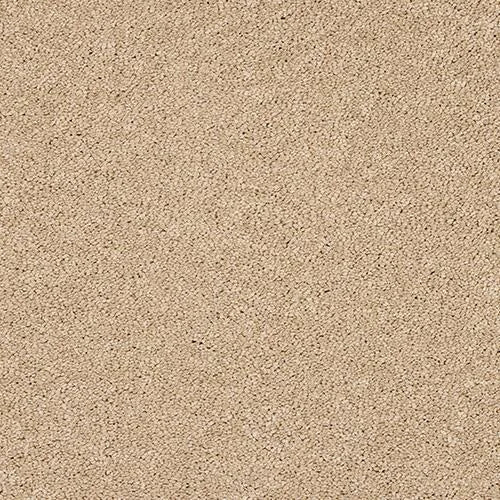 Abingdon Velvet Dream Carpet Exen Flooring