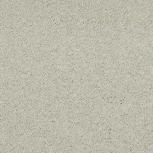 Abingdon Velvet Dream Carpet Exen Flooring