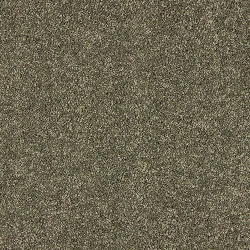 Abingdon Velvet Dream Carpet Exen Flooring