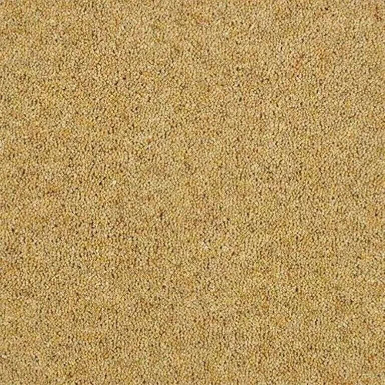 Abingdon Wilton Royal Charter Berber Deluxe Carpet Exen Flooring