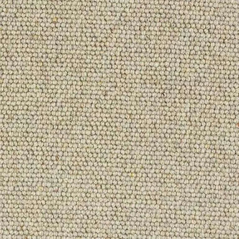 Abingdon Wilton Royal - Charter Berber Loop Carpet Exen Flooring