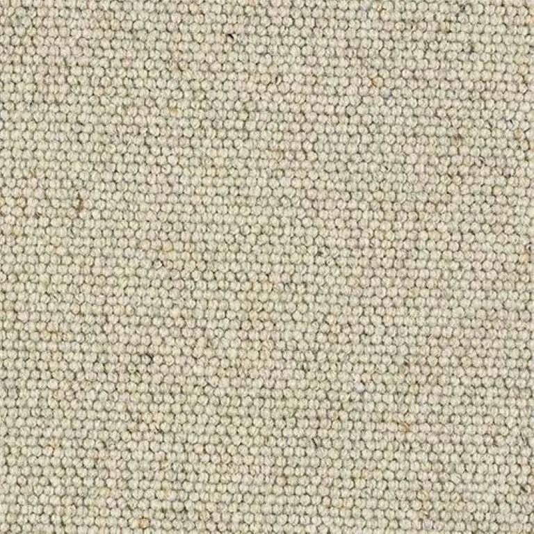 Abingdon Wilton Royal - Charter Berber Loop Carpet Exen Flooring