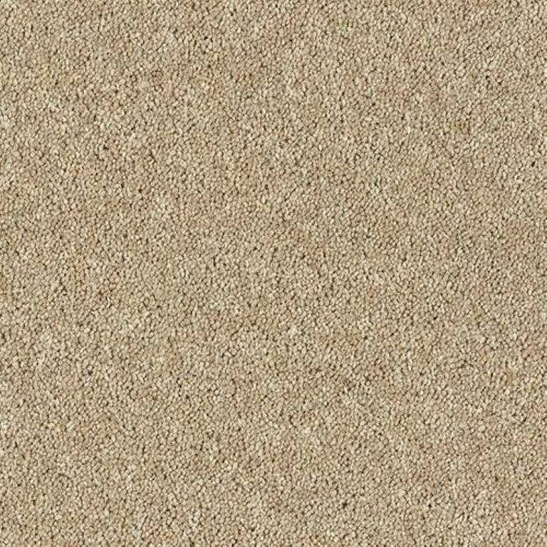 Abingdon Wilton Royal - Royal Charter Deluxe Carpet Exen Flooring
